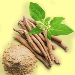 Ingredient Image
