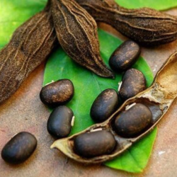 Ingredient Image